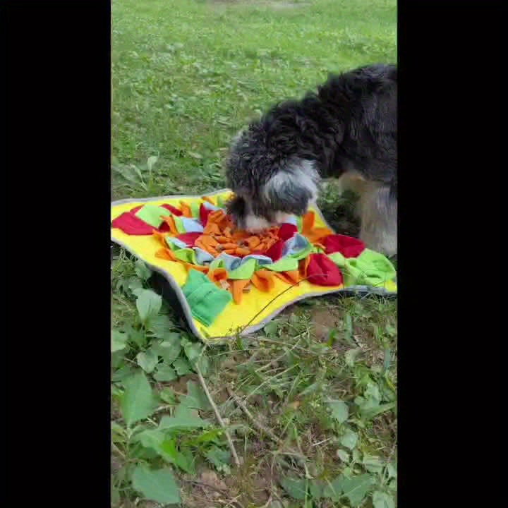 Mantenha seu cão entretido e estimulado com este tapete interativo para farejar animais de estimação!