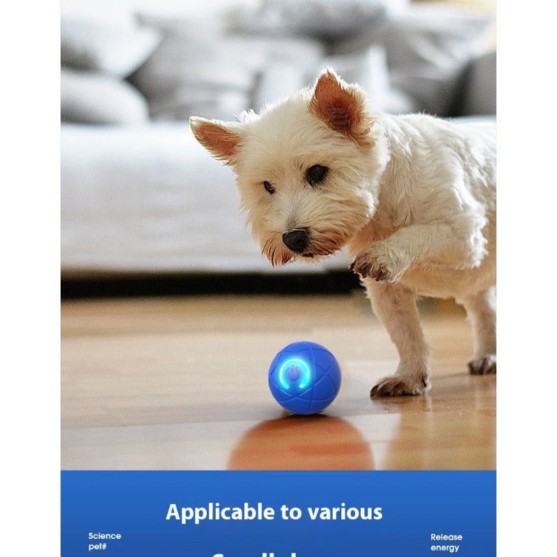 Bola de Brinquedo para Cães Inteligente e Interativa de 4ª Geração